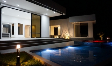 Owl Image Las Violetas